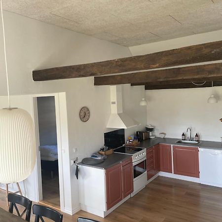 Baekgaarden 3 Rooms Apartment - Old Farm House Odense Bagian luar foto