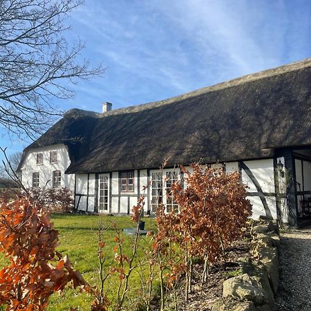 Baekgaarden 3 Rooms Apartment - Old Farm House Odense Bagian luar foto