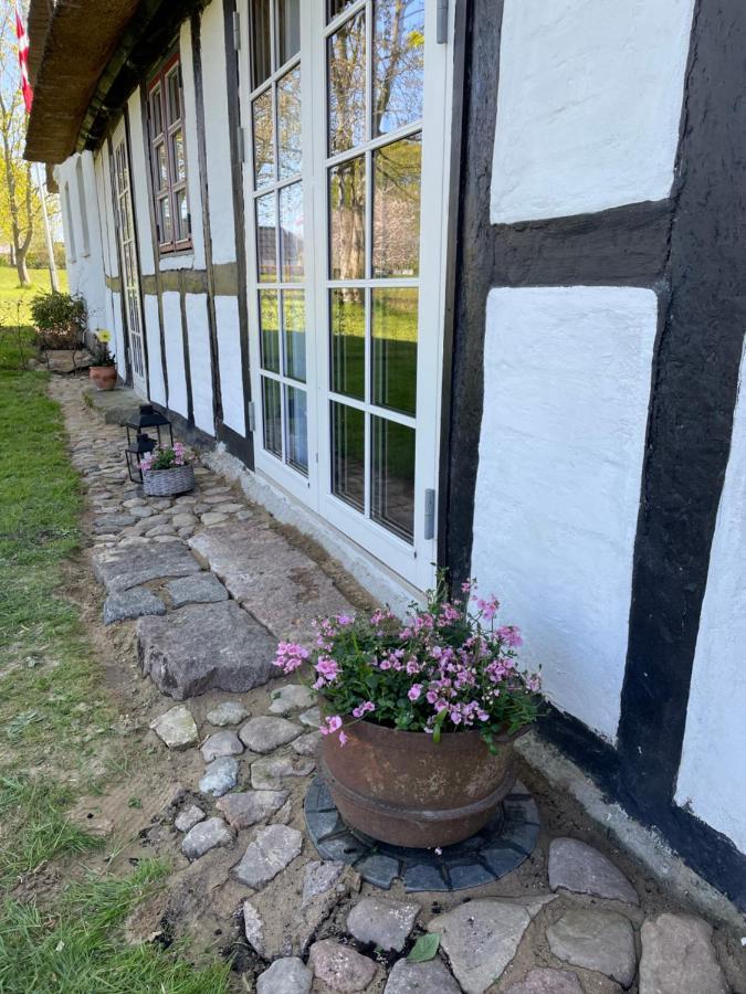 Baekgaarden 3 Rooms Apartment - Old Farm House Odense Bagian luar foto