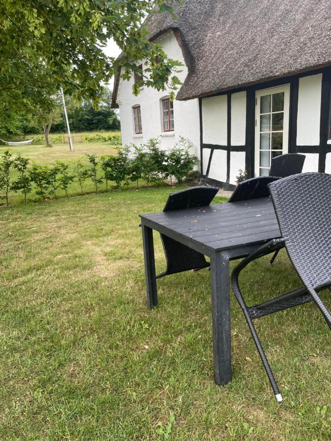 Baekgaarden 3 Rooms Apartment - Old Farm House Odense Bagian luar foto