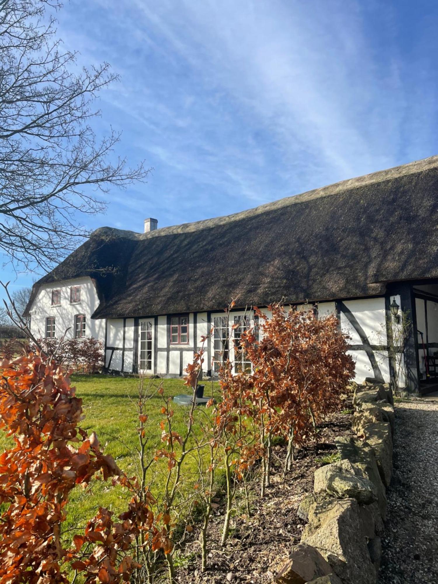 Baekgaarden 3 Rooms Apartment - Old Farm House Odense Bagian luar foto